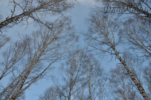 DSC_1582_r